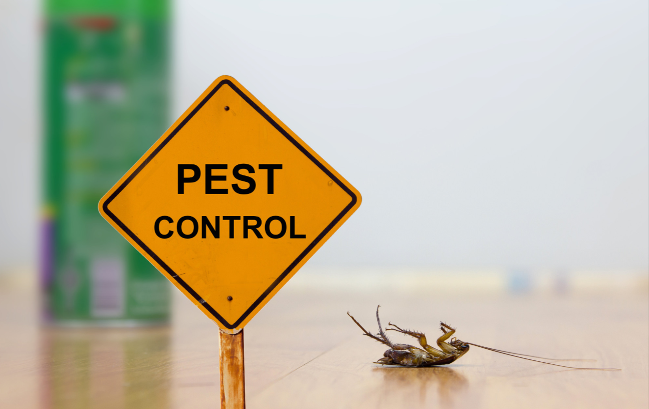 Blogging For Pest Control